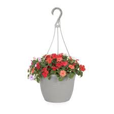 HANGING BASKET